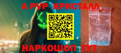 амф Кингисепп