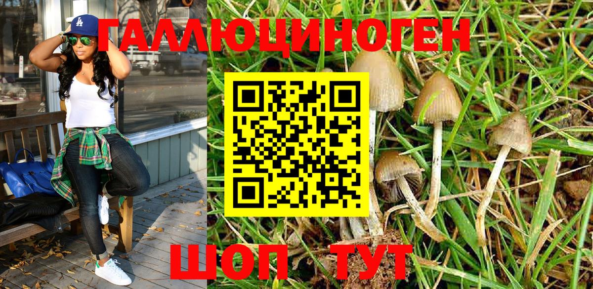 Псилоцибиновые грибы MAGIC MUSHROOMS  Вход с VPN  Галлюциногенные грибы Cubensis  Шахты 