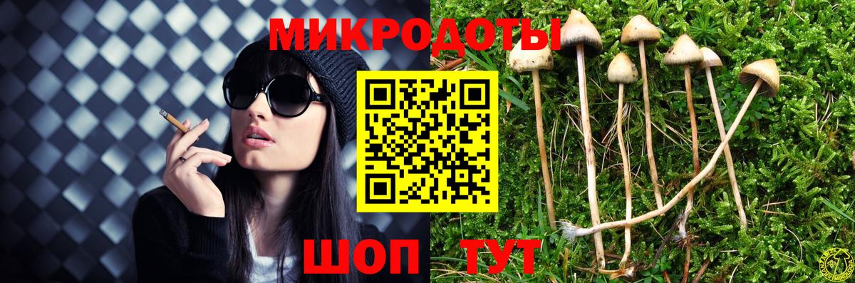 Псилоцибиновые грибы ЛСД Шахты